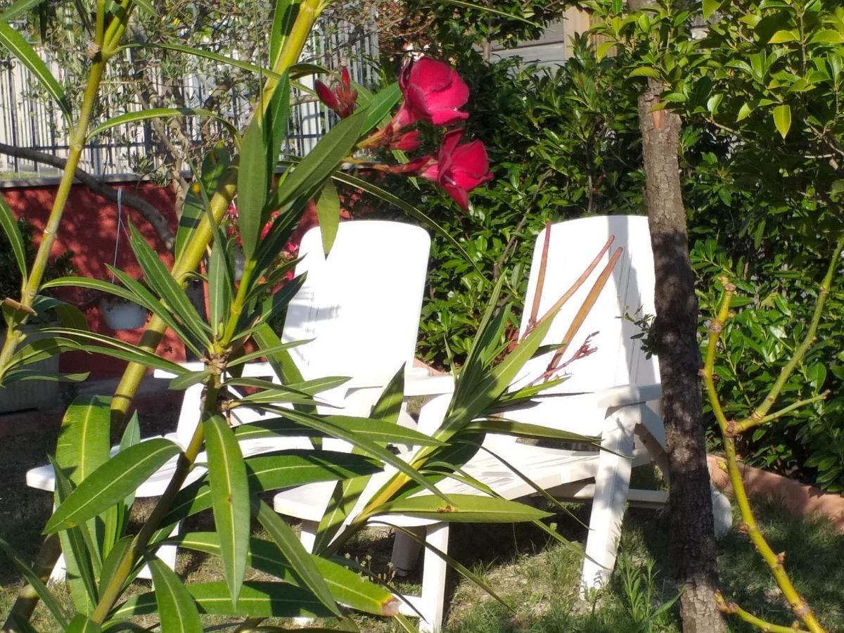 Bed & Breakfast La Rosa Rossa Cagli Eksteriør bilde
